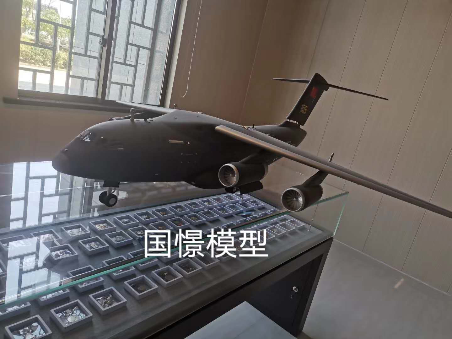 达日县飞机模型
